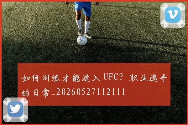 如何训练才能进入 UFC?职业选手的日常_20260527112111